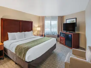 Comfort Inn University