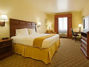 Holiday Inn Express & Suites Levelland
