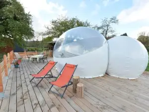 Bulle Ecureuil