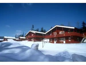 Birkebeineren Hotel & Apartments