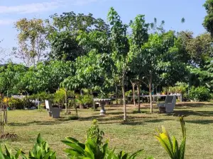 The Inn at Punta Mala