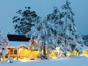 Discovery Resorts - Cradle Mountain