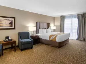Quality Inn Downtown Inner Harbour