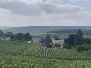 Maison au Coeur du Vignoble Champenois