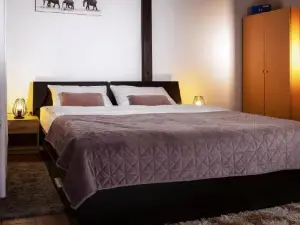 Studio Apartman "DJED"