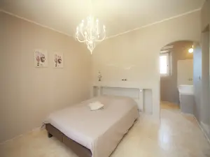 Villa in Provence with Infinity Pool