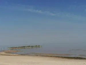 Kotedža Tīkli