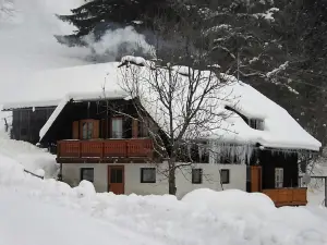 在Wolfsberg滑雪區附近的寬敞小木屋，配有桑拿