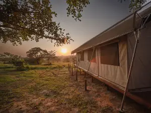 Nkambeni Safari Camp