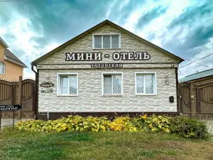 Mini Hotel Zadonskiy