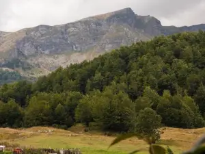 Apartmani Jelenača prizemlje