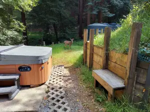 REDWOOD RETREAT Walk to downtown/Mt Tam/Muir Woods