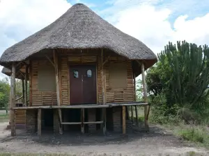 Forest Hog Safari Lodge