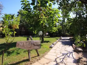 Hotel L'Ulivo