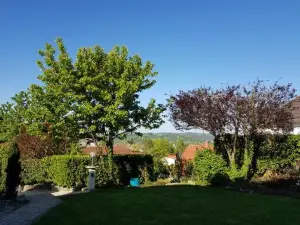 Ferienwohnung am Betzelhübel