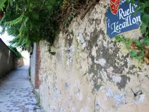 Le Sarment - Hautvillers