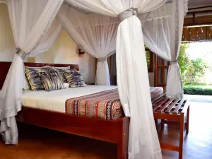 African Roots Gulu