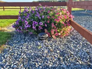 Emlagh, Self Catering Glamping Pods