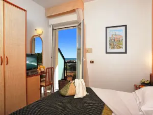 호텔 아우소니아 체르비아