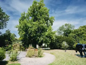 尚帕涅武器酒店及水療中心