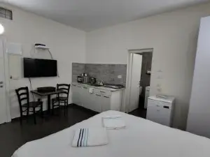 David Hameleh House