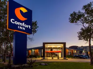 Comfort Inn South