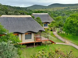 Garden Route Safari Camp