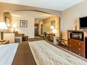 Quality Inn & Suites