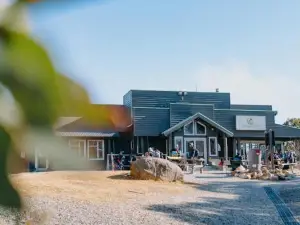 Altitude Apartment 2