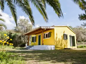 Cute Yellow Handmade House with Garden