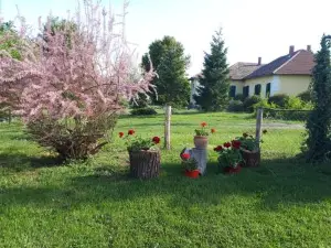 Véndektanya Vendégház