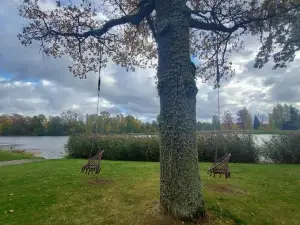 Lauviņu Rezidence
