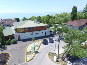 Vadkacsa Panzio