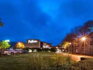 Radisson Hotel Corning