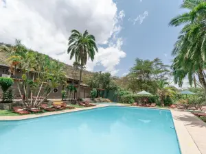 사로바 라이온 힐 게임 로지 나쿠루