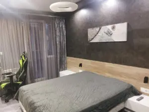 Apartment Svetli
