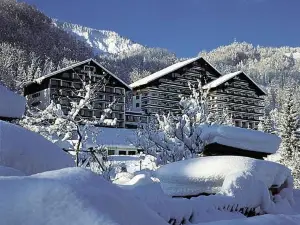 Appartementhaus Dachsteinblick Mit Indoorpool Und Sauna
