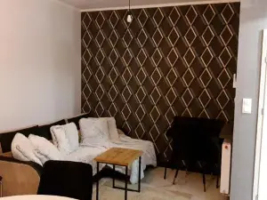 Nad Wełną Check-in 24H