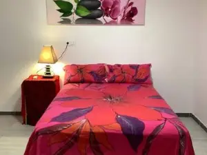 Bungalow climatisé Chez Kim