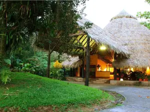 อารันวา ซาราปิกี เรนฟอเรสต์ ลอดจ์