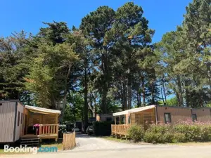 Sunêlia le Petit Bois