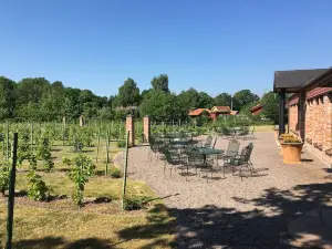 Åmund Vin & Fruktgård