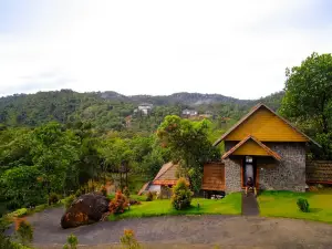The Wild Trails Clarks Exotica , Munnar