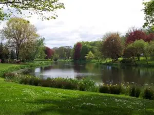 Paradise Oasis Near Lake *Full Body Massage Chair*