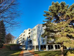 Entire Condo
