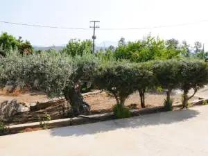 The Byzantine Wall House