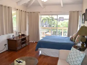 Bright and Spacious Corner Studio Unit with Wrap Around Lanai