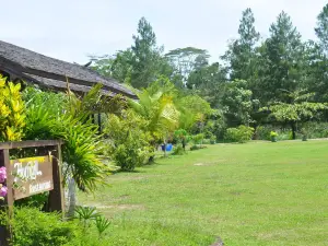 Samboja Lodge