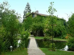 Moulin de Cocussotte
