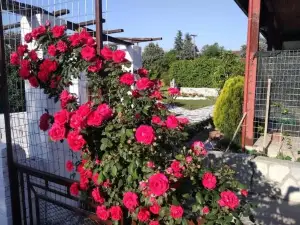 Green House - Apartment in Aridaia-Loutra Pozar